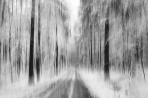 Winterwald