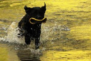 Wasserspiele_