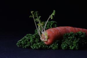 Gesundheit