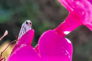 20220702_162933b_edited