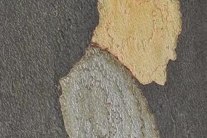 7-082_Lehrer-Lempel