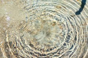 25-Platz-11-Wolfgang-Straub