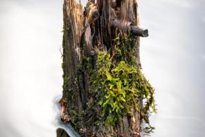 Platz-13.-Martin-Speth_Insel-aus-Holz-