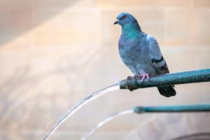 Platz-16.Martin-Speth_Wasserhahn-