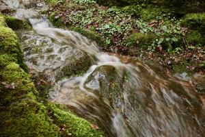 Platz-25.-Horst-Stenger_Bachlauf