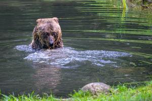 Platz-29.-Thomas-Hauffe_Wasserspass_1-