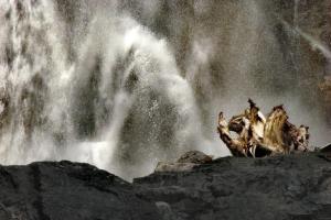 Platz-47.-Klaus-Ahke_Wasserfall_am_Schwarzsee