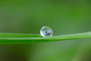 Platz-47.-Tanja-Speth_Wasserperle