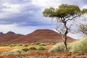 Platz 06: Rosemarie Baumann - Kakaoveld