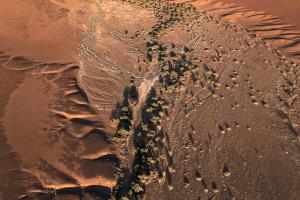Platz 11: Rosemarie Baumann - Namib Sky Ballon