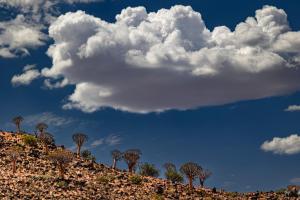 Platz 10: Rosemarie Baumann - Wolken im Wind