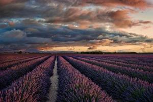 335_Abendstimmung-in-der-Provence