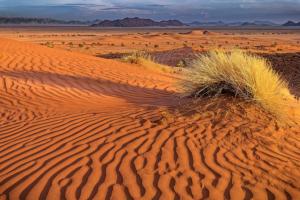 1_10_Namib-Desert