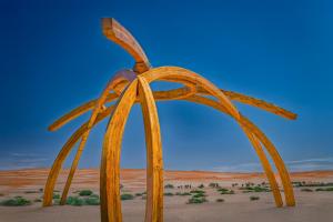 Desert Grace