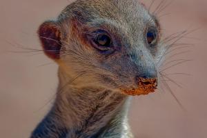 1_33_Volle-Konzentration