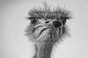 36_Was guckste?