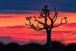 41_Sunset-im-Canyonland