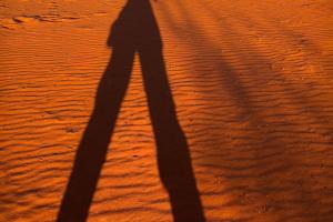 8_Schattenspiel-in-Kalahari