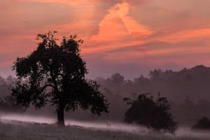 Morgenstimmung