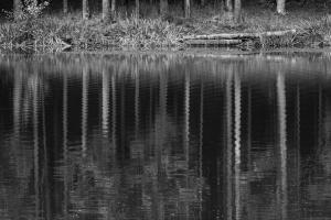 056-Spiegelung-im-Rhoener-Rothsee_236