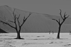 Namib