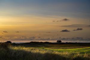 319_Hinter-dem-Deich