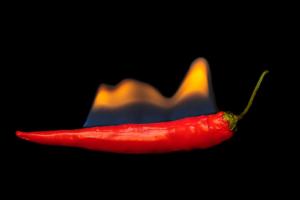 319_Hot-Cili