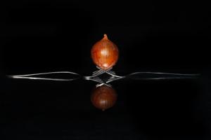 319_Zwiebel_Gabel