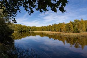 236_Am-Roten-Moor